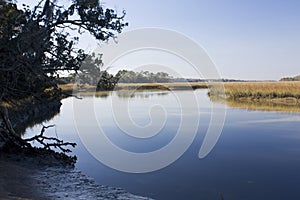 Salt marsh scenic