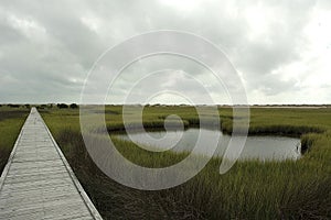 Salt Marsh Trail