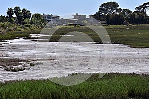 Carpinteria Salt Marsh Nature Park, 2. photo