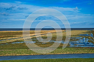 Salt marsh of the Wadden Sea, the Netherlands