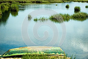 Salt Marsh, Wellfleet