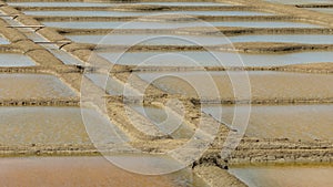 The salt marshes