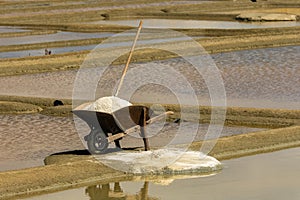 The salt marshes