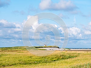 Salt marshes and dunes with sand couch and marram grass in nature reserve Boschplaat on Frisian island Terschelling, Netherlands