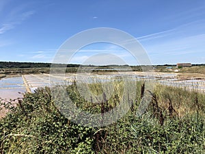 The salt marshes of Guerande