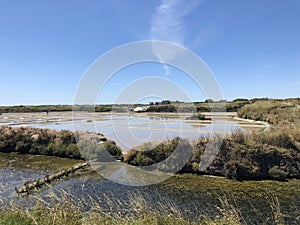 The salt marshes of Guerande