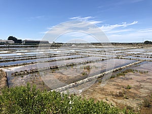 The salt marshes of Guerande