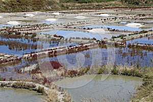 The salt marshes of Guerande