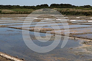 The salt marshes of Guerande