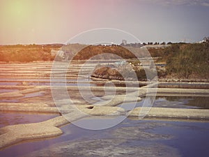 The salt marshes of Guerande in the Bretagne, France.