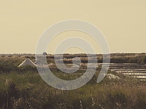 The salt marshes of Guerande in the Bretagne, France.