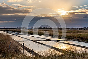 Salt marshes on the island of Noirmoutier in France.