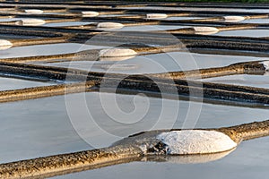 Salt marshes on the island of Noirmoutier in France.