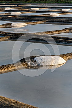 Salt marshes on the island of Noirmoutier in France.