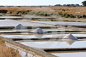 Salt marshes of Noirmoutier