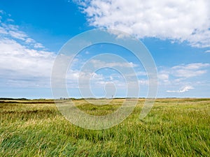 Salt marshes and wooden beacon in nature reserve Het Oerd on West Frisian island Ameland, Netherlands