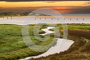 Salt marshes at The Zwin Nature Reserve, North Sea coast, Belgium-Netherlands border, sunset photo
