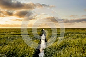 Salt Meadow during sunrise