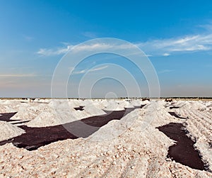 Salt mine at Sambhar Lake, Rajasthan, India