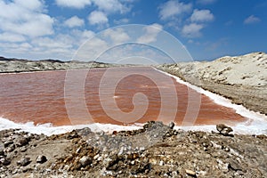 Salt mineral mining in Namibia photo