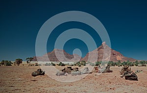 salt mining in the Saline Demi dry lake, Fada, Ennedi, Chad