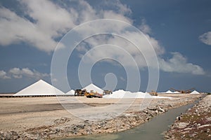 Salt mining work Bonairo Carribean island picture