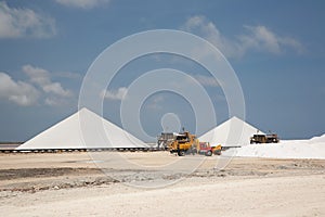 Salt mining work Bonairo Carribean island picture