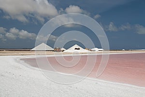 Salt mining work Bonairo Carribean island picture