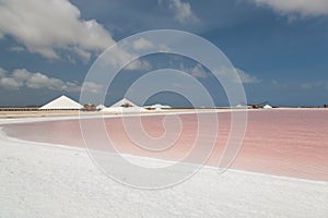 Salt mining work Bonairo Carribean island picture