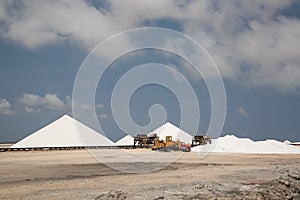 Salt mining work Bonairo Carribean island picture