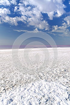 Salt near the coast and pink water of the Sivash Bay, Kherson region, Ukraine