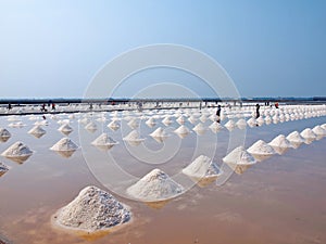 Salt pan