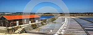 Salt pans on a saline exploration