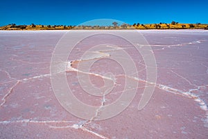 Salt pattern on pink lake surface.