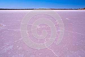 Salt patterns on the surface of pink lake Crosbie.