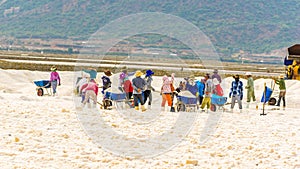 but salt people are harvesting salt in the white salt field in Phan Rang Ninh Thuan Vietnam