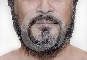 Salt and Pepper Beard