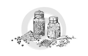 Salt and pepper. Hand drawn mills with seasoning for restaurant menu. Isolated bottles for pungent taste culinary powder