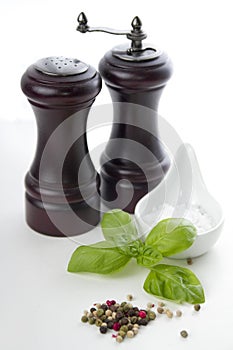 Salt and pepper shaker