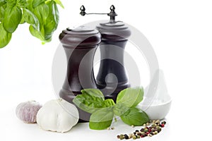 Salt and pepper shaker