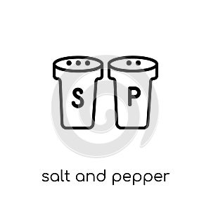 Salt and pepper shakers icon from Furniture and household collec