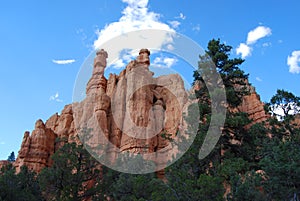 Salt and Pepper Shakers zion national park