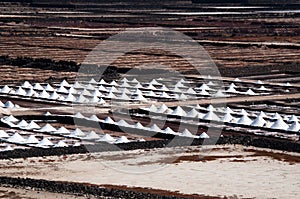 Salt Piles On A Saline