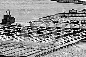 Salt piles on a saline exploration