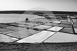 Salt piles on a saline exploration