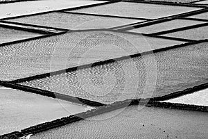 Salt piles on a saline exploration