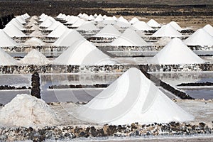 Salt piles on a saline exploration