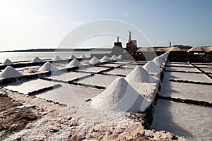 Salt piles on a saline exploration