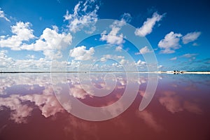 Salt pink lagoon in Las Coloradas, Yucatan, Mexico photo