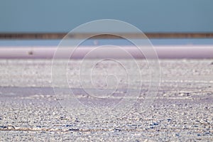 Salt pink lake surface close-up, blue sunny sky